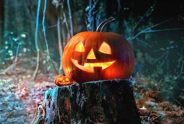 46 Hilariously Spooky Halloween Jokes
